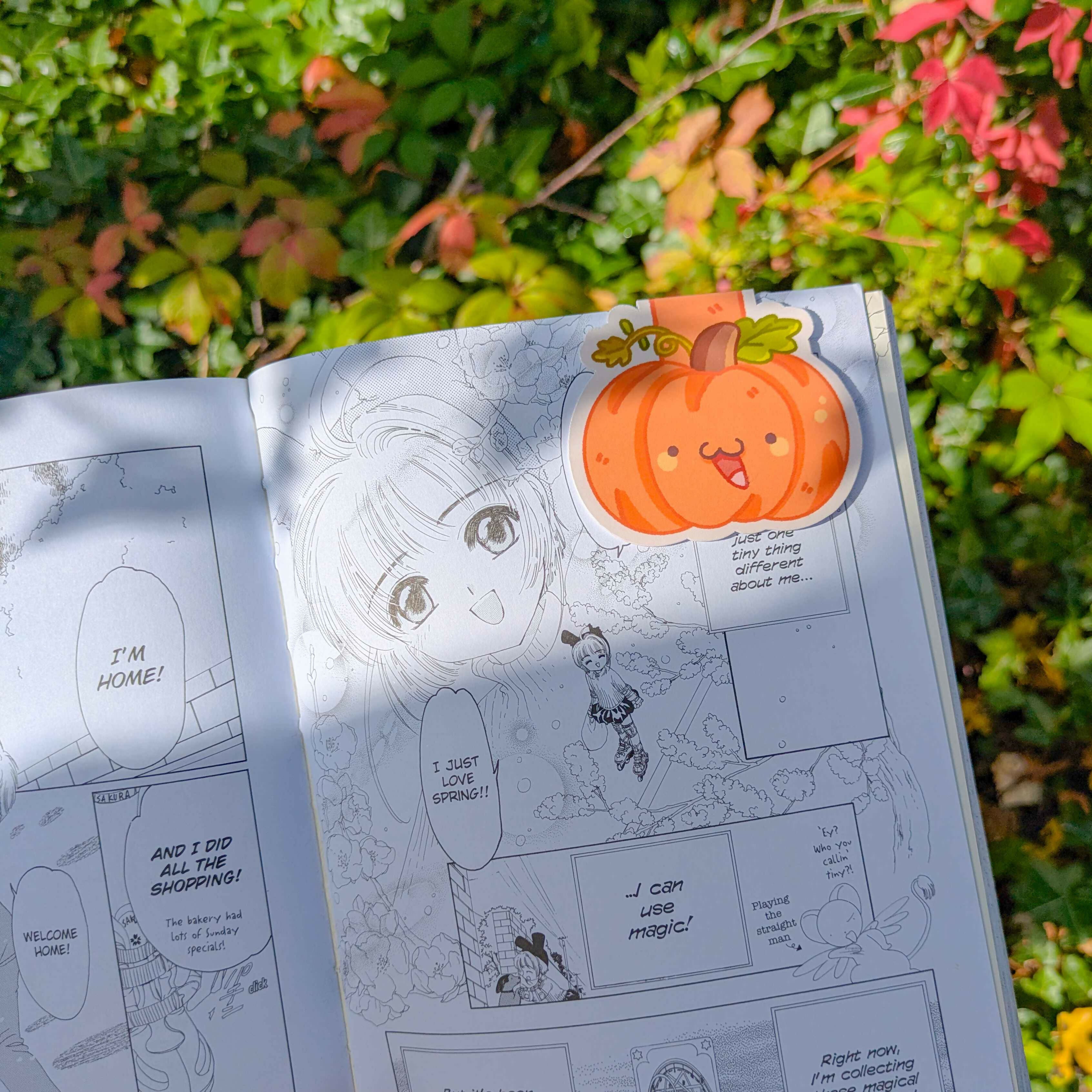 Hey Pumpkin - Magnetic Bookmark