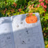 Hey Pumpkin - Magnetic Bookmark