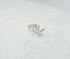 Sterling Silver Patterned Rectangle Stud Earrings