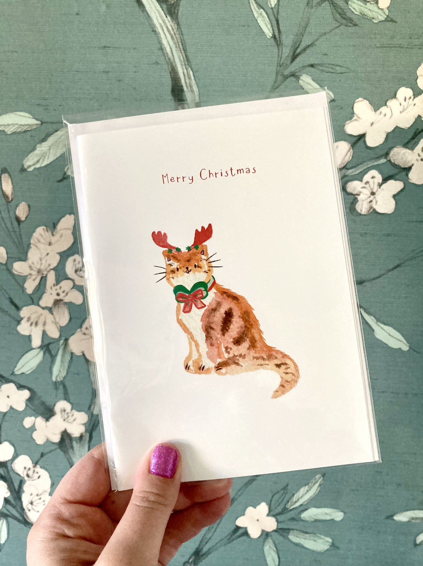 Limited Edition Discounted Reindeer Cat Christmas Card