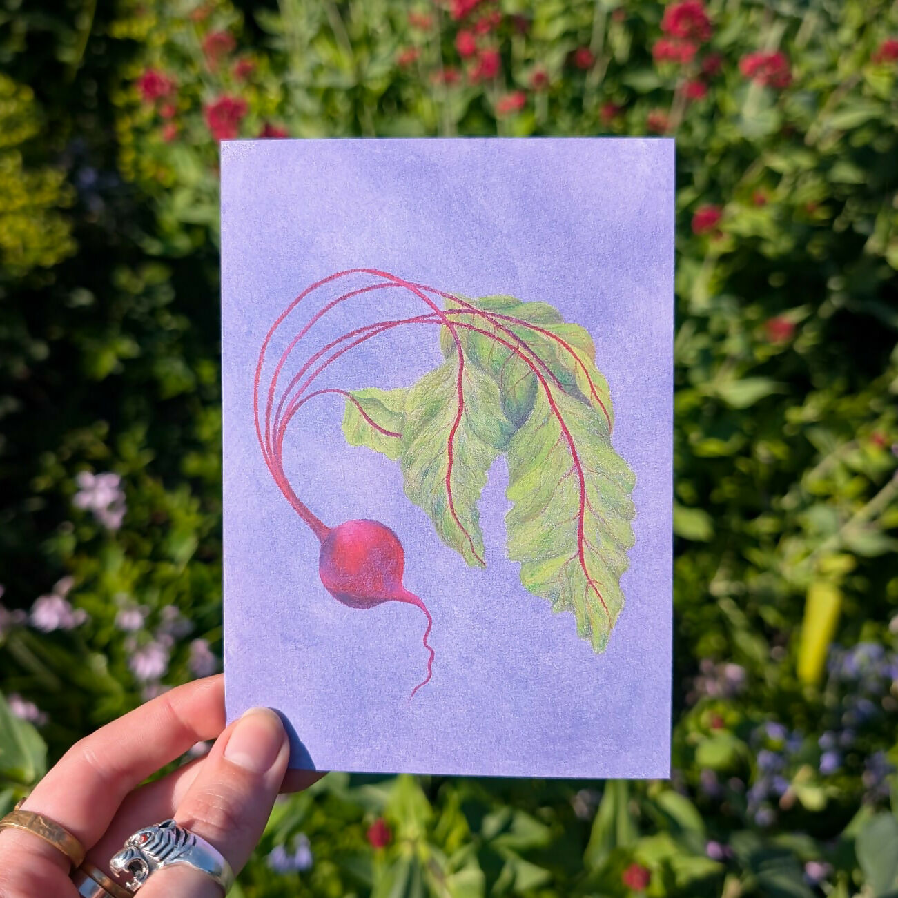 Beetroot Wax Pastel A6 Print