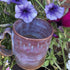 Dark Mauve Mug