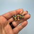 3D Printed Micro Miniatures: Articulated Sensory Fidget Animals friends, Lizards, Hammerhead Shark, Rabbits, Jackalopes 4-5cm