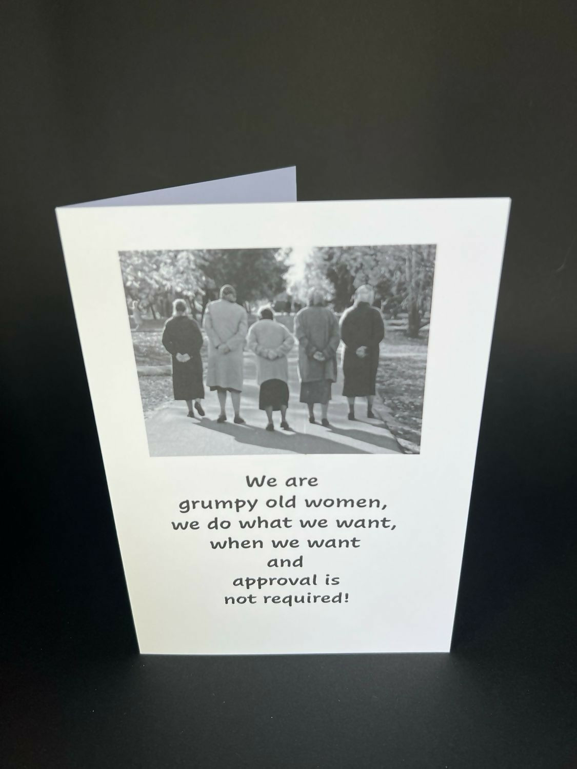 We Are Grumpy Old Women - Cheeky Card