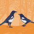 Magpies - Two for Joy Art Print