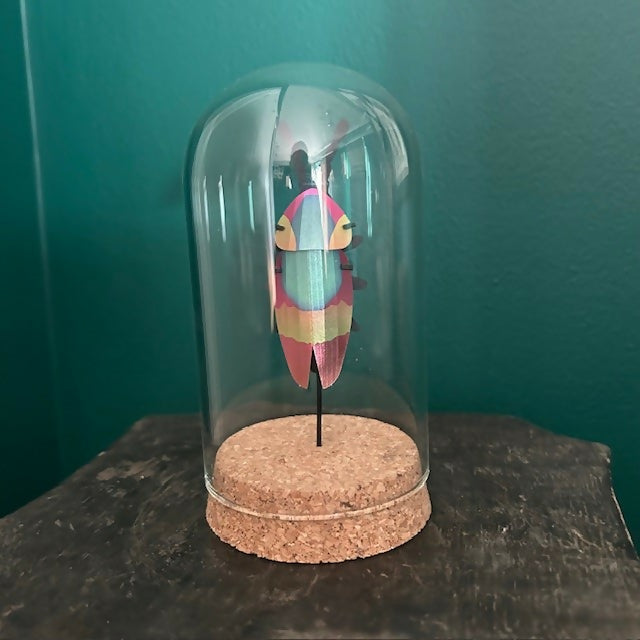 Lovely Glass Dome Featuring A Colourful 3D Paper Beetle