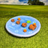 Capybara Swimming Trinket Dish