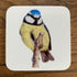 Blue Tit Coaster