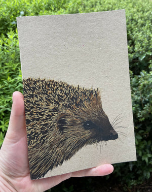 A5 Hedgehog Notebook