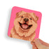 Chow Chow Brown Dog Coaster