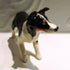Ceramic Border Collie Sculpture, Tricolour
