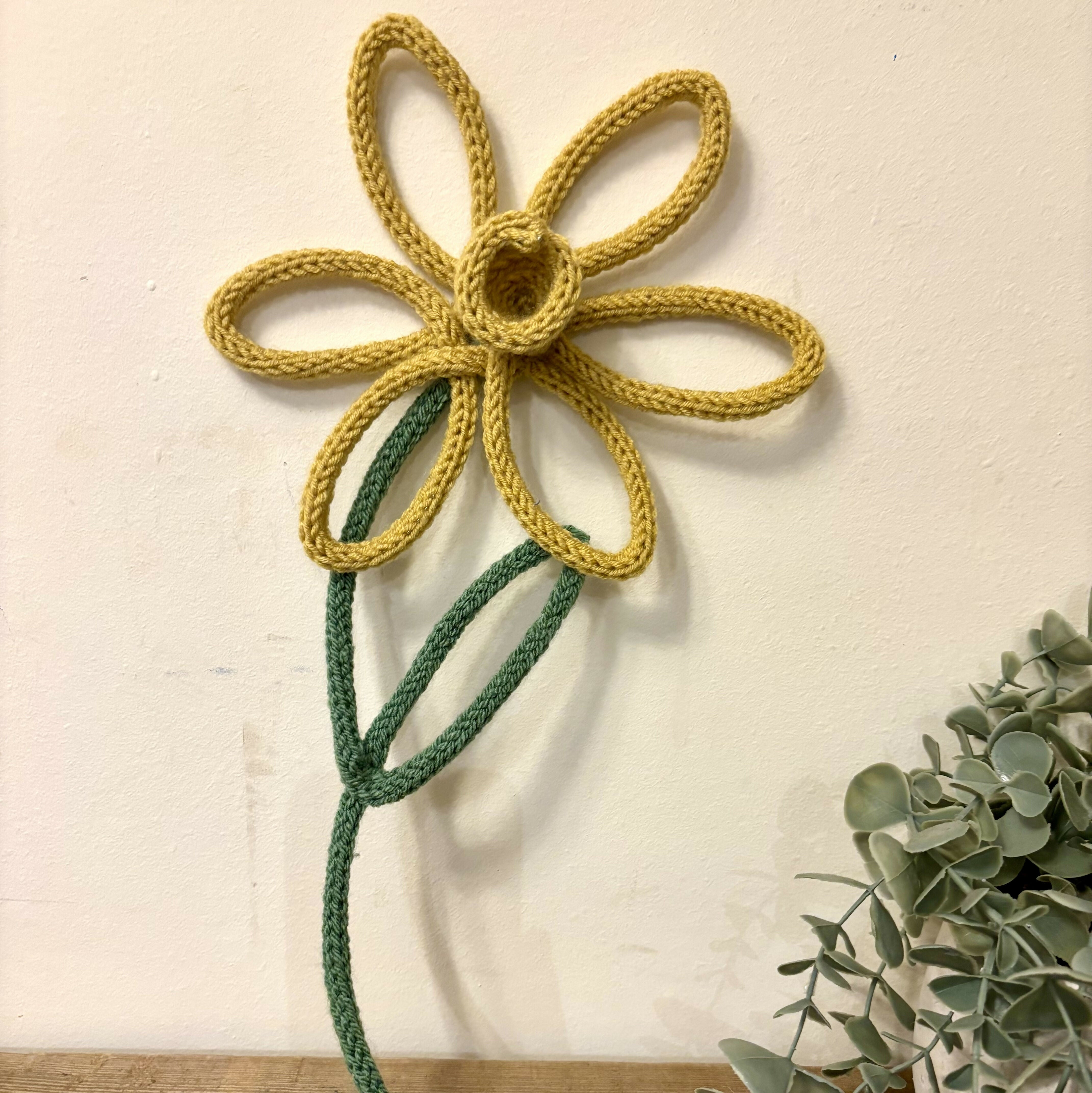 Woolly Wire Daffodil