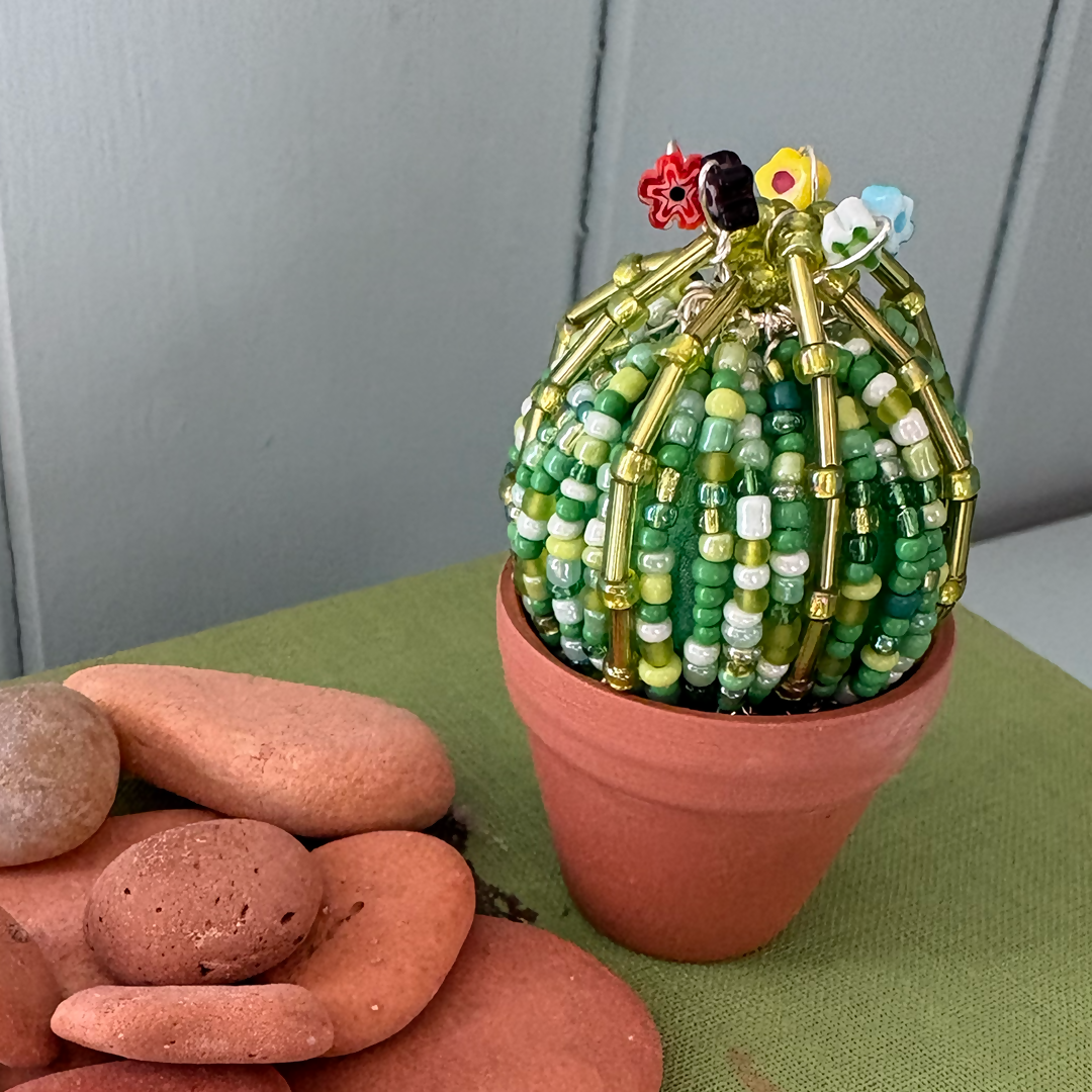 DIY Beaded Ball Cactus Kit with Terracotta Pot