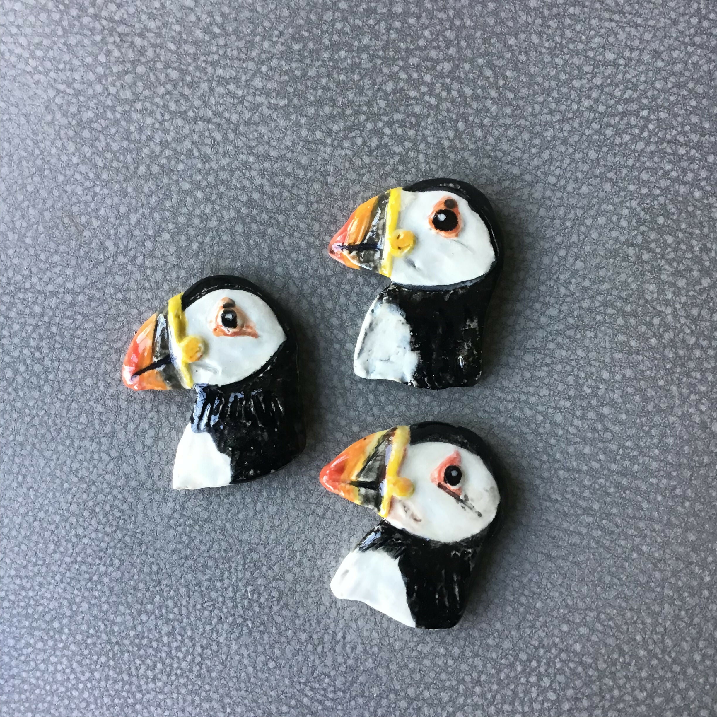 Animal Magnets