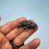 3D Printed Micro Miniatures: Articulated Sensory Fidget Animal friends Manatee, Skunk, Hedgehog, Spider, Capybara, Crab, Sloths 3-5cm