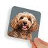 Cockapoo Beige Brown Dog Coaster
