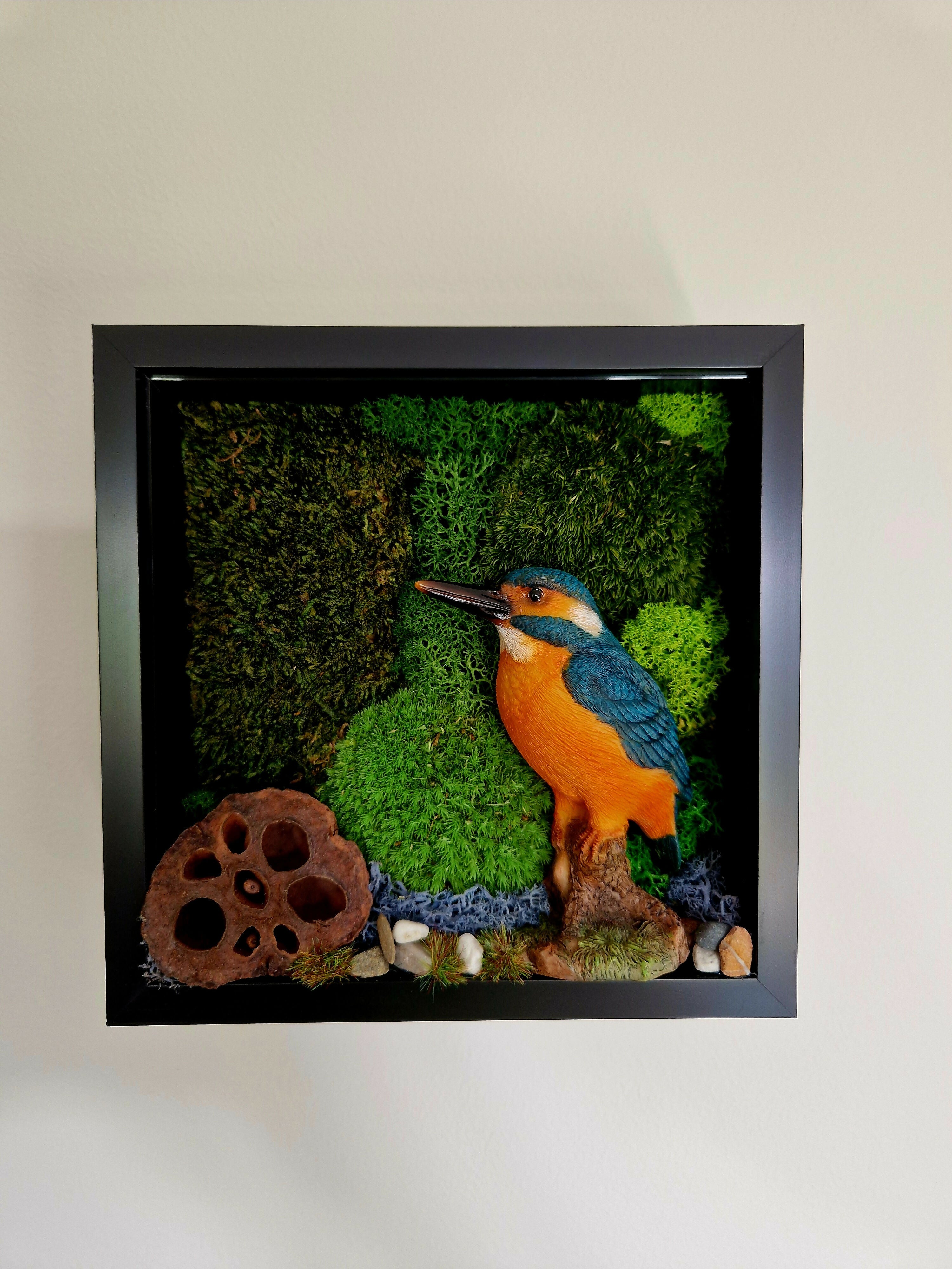 Kingfisher