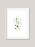 Spring Wildflowers 5 Art Print