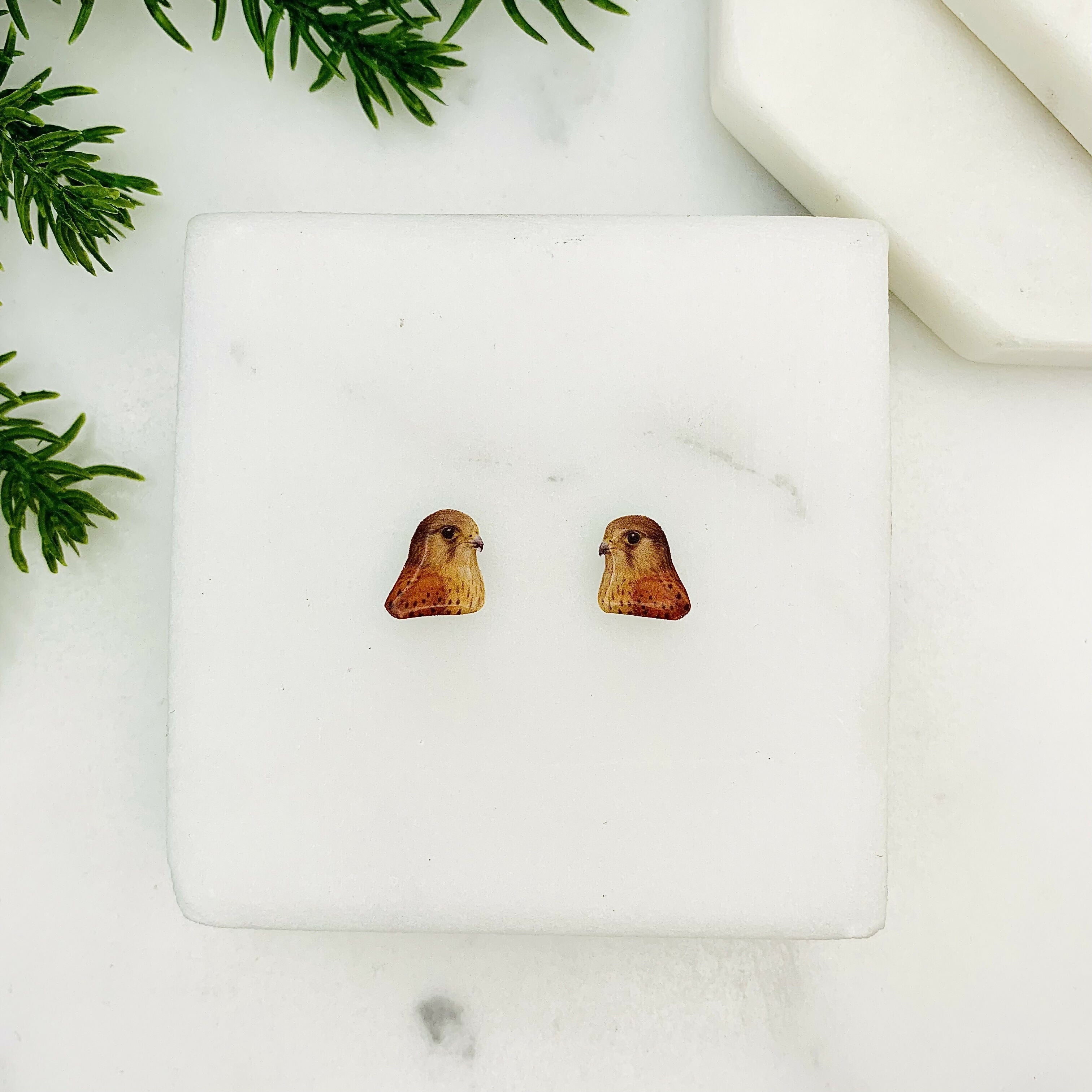 Kestrel Bird Of Prey Stud Earrings