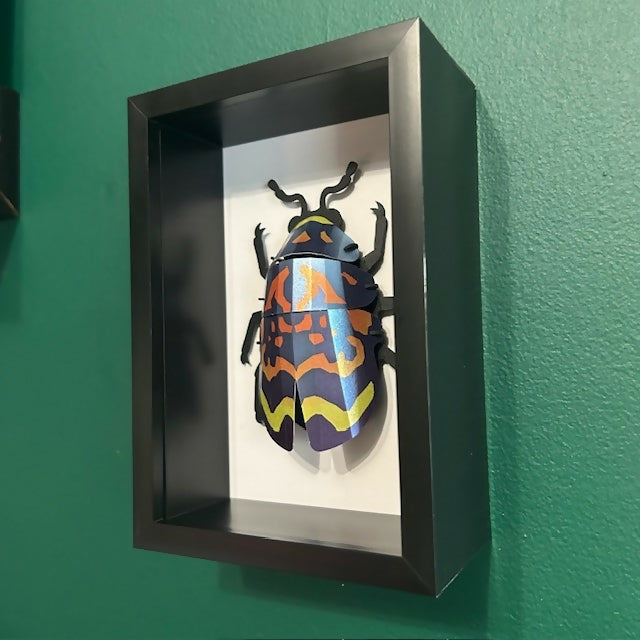 3D Blue & Orange Paper Beetle In A Deep Black Box Frame