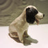 Ceramic Welsh Springer Spaniel Dog Sculpture