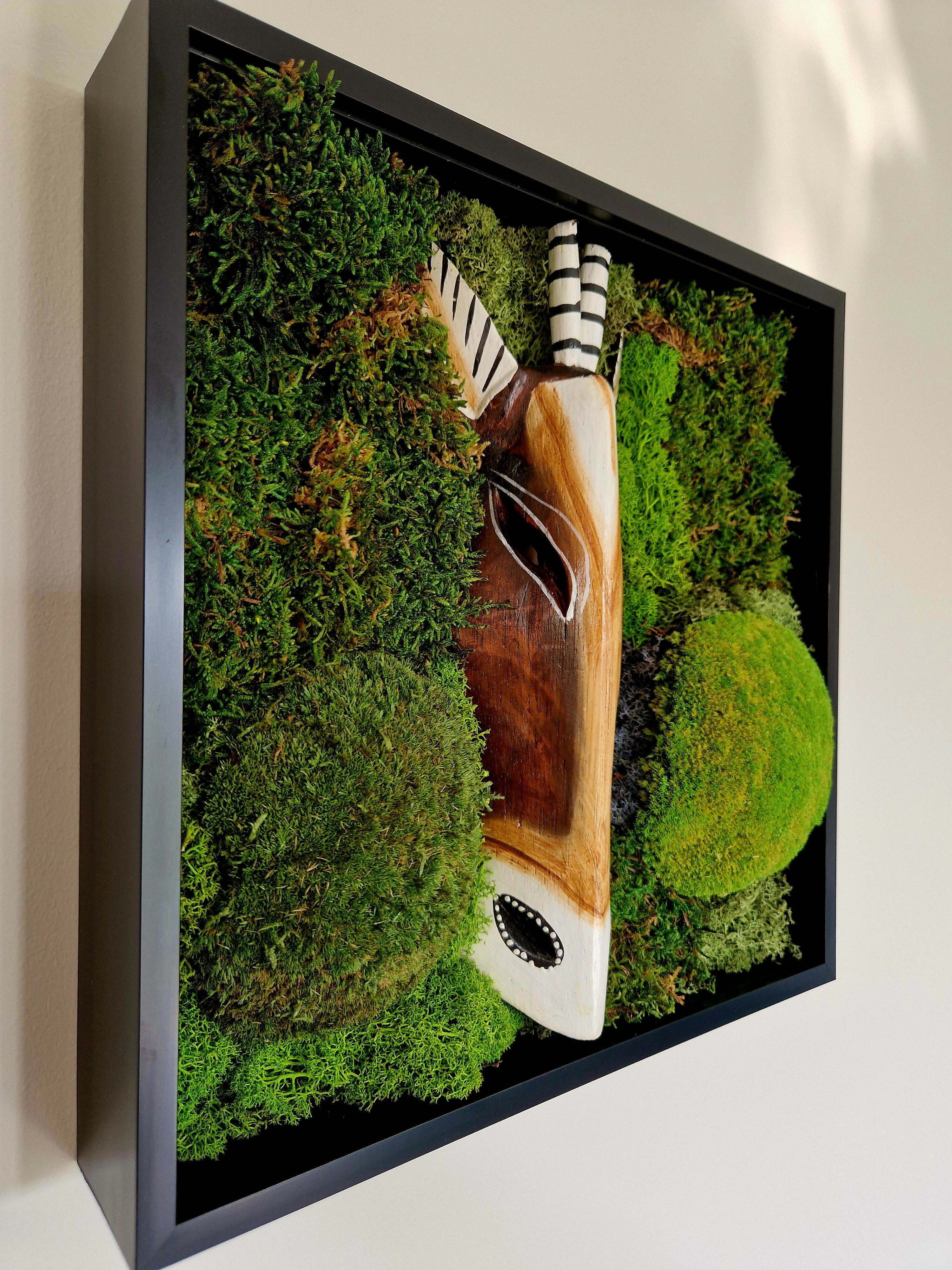 African Gazelle
