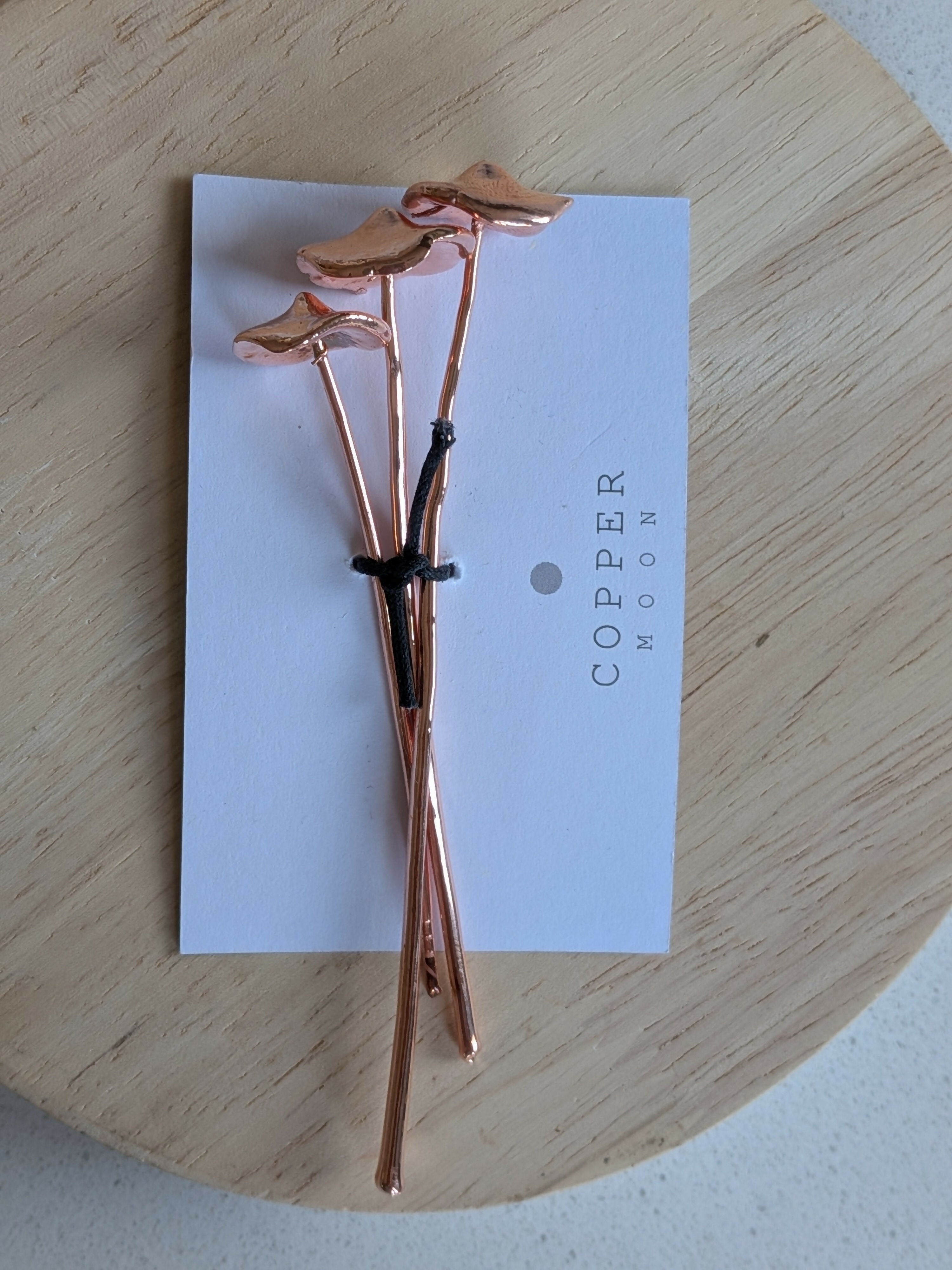 Copper Mushroom Plant Decoration
