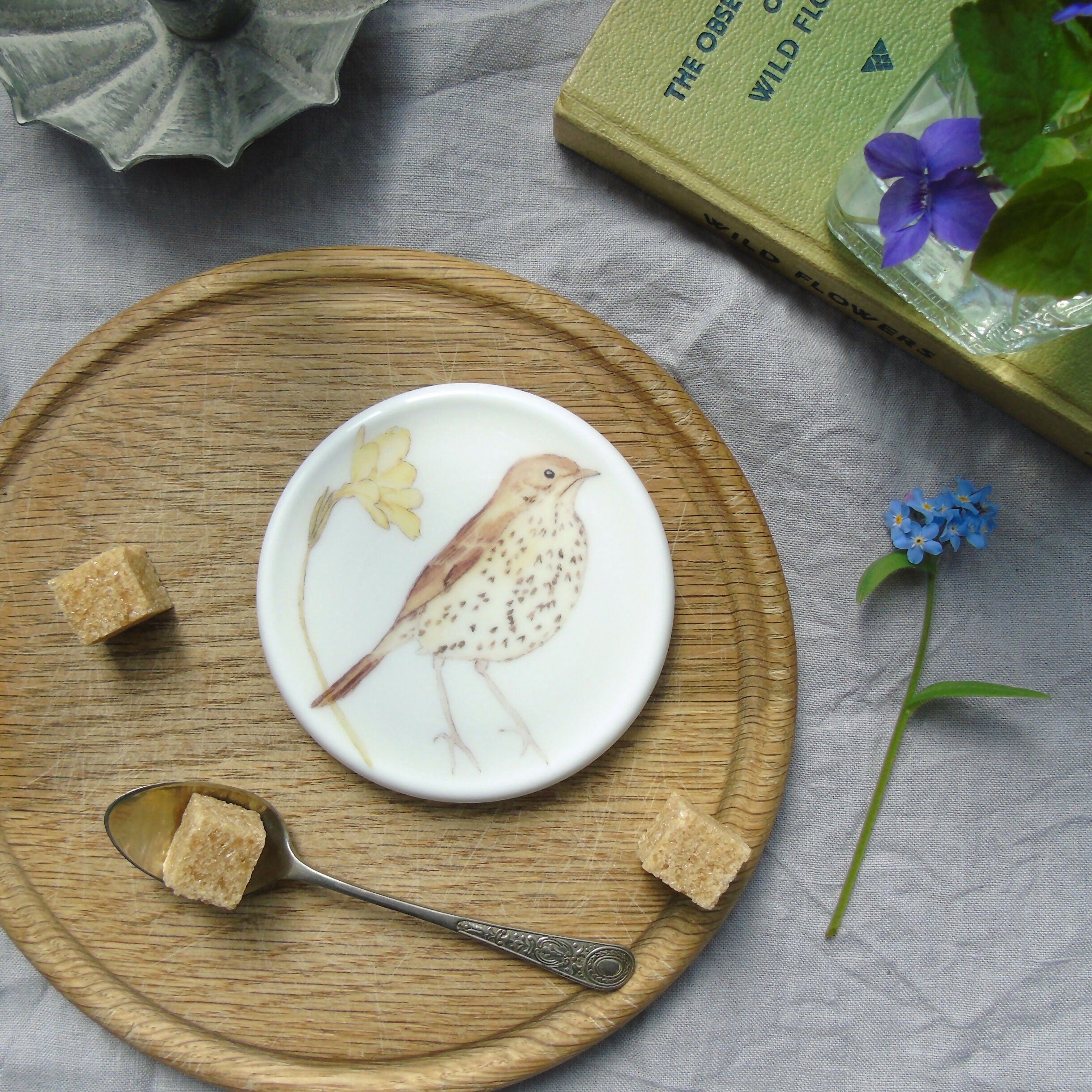 song thrush and primrose coaster