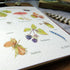Autumn Treasures Greetings Card