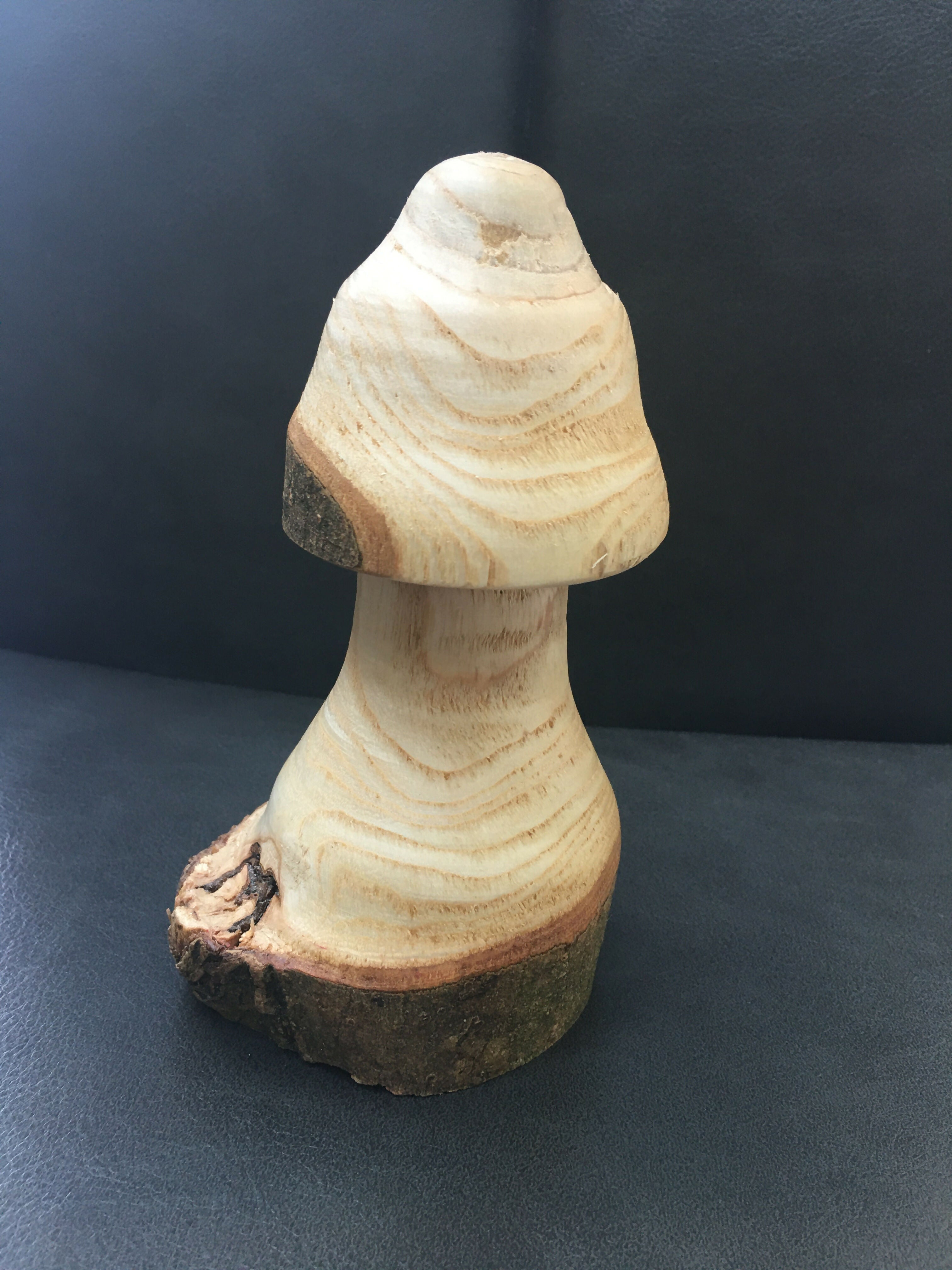 Live Edge Toadstool