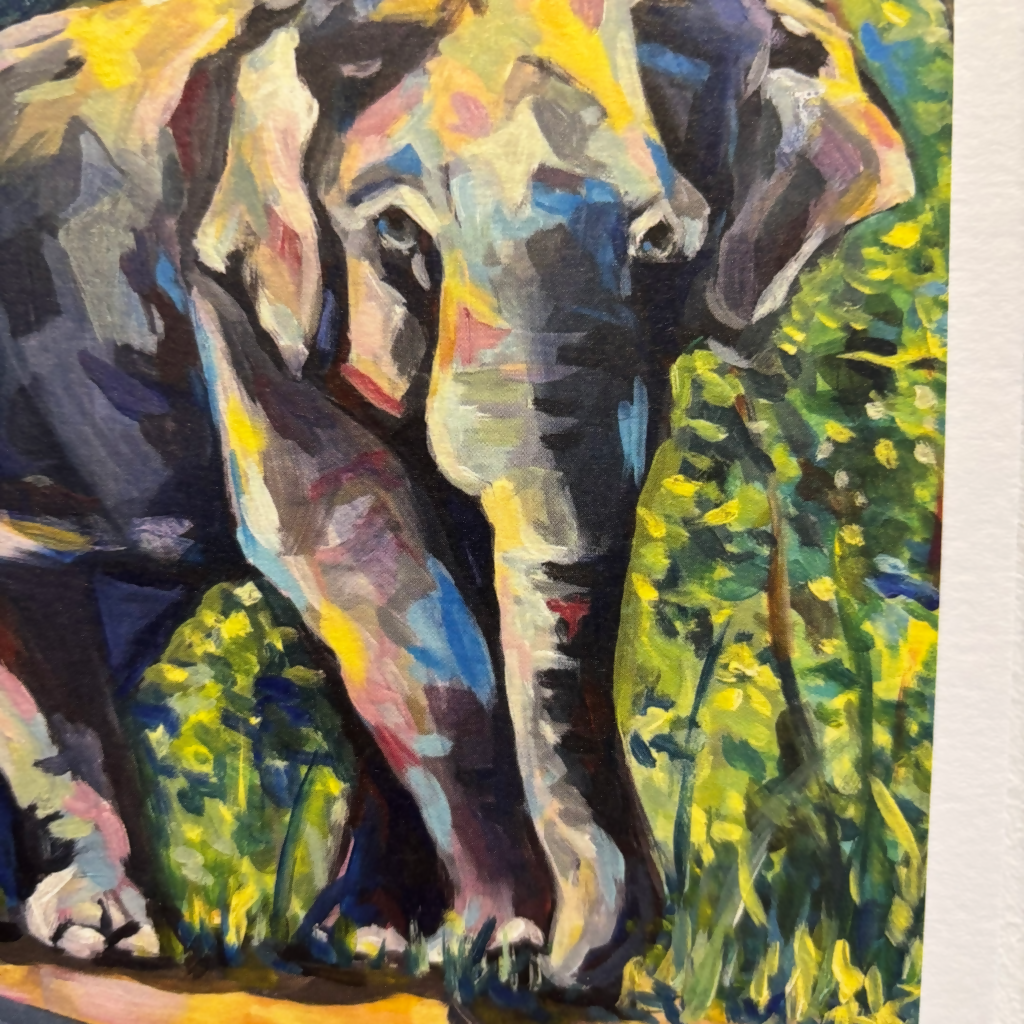 A5 Elephant Print