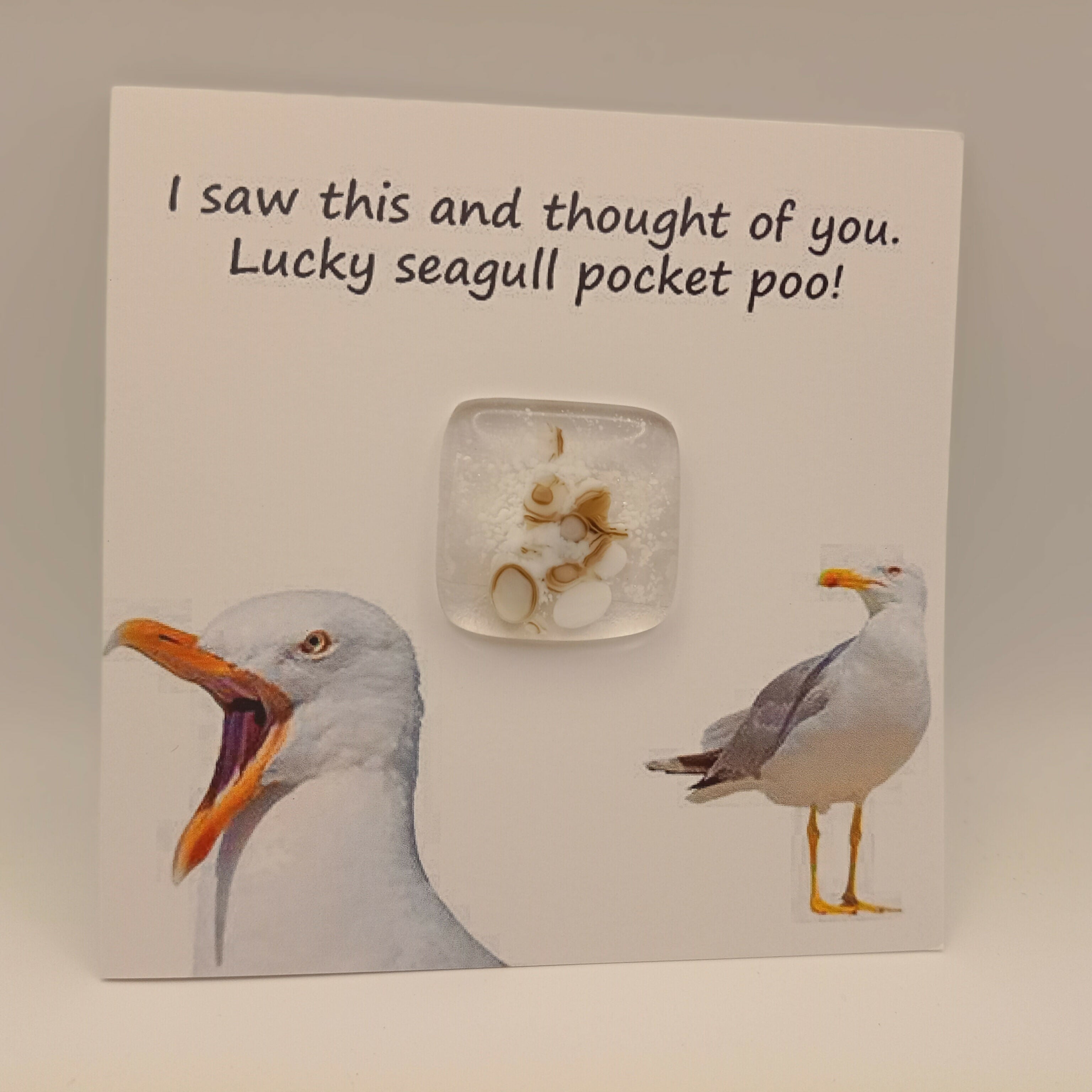 Pocket Poo Card