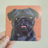 Pug Black Orange Dog Coaster