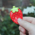 Handmade Polymer Clay Red Strawberry Worry Stone