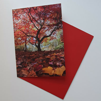 Golden Acre Park Red Tree art card