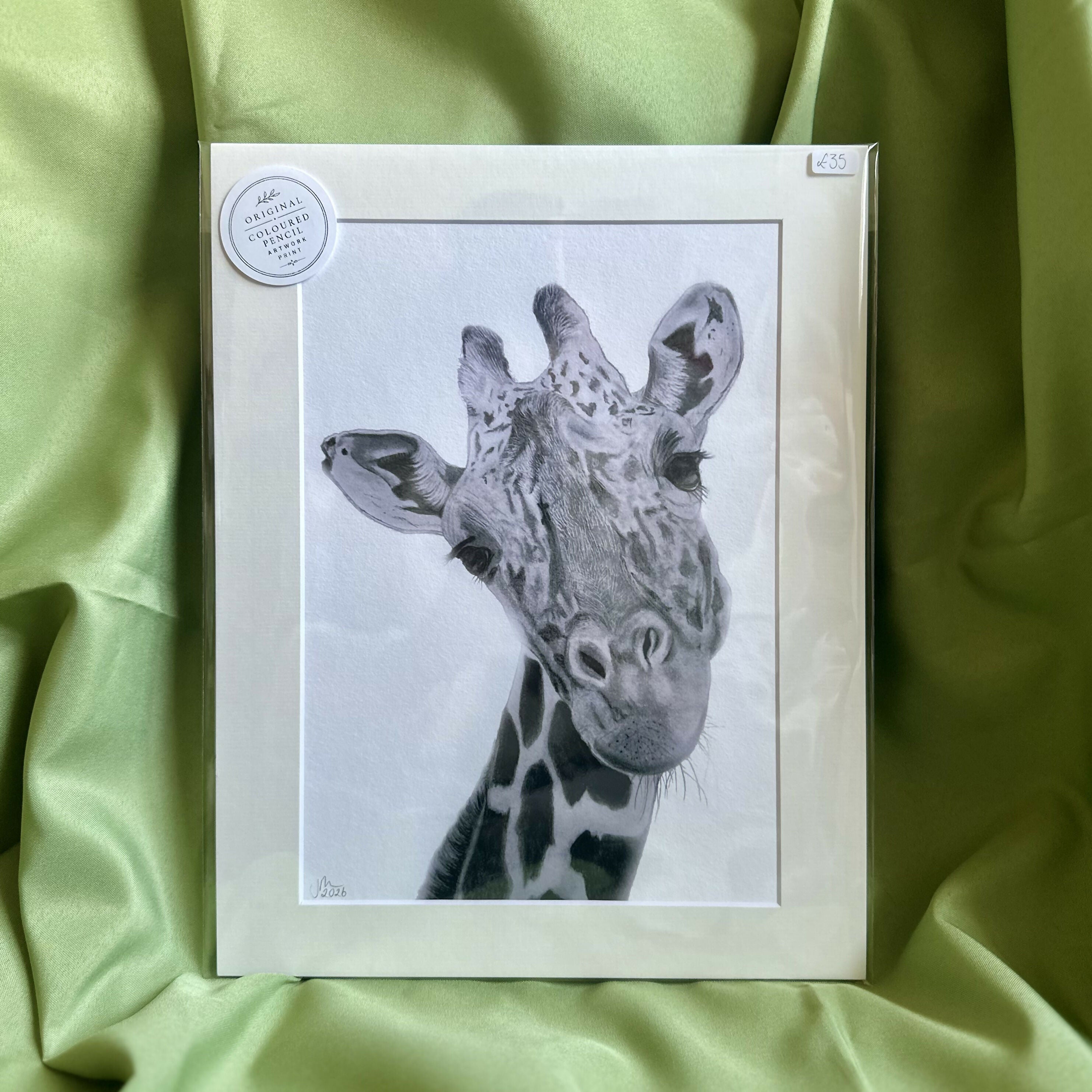Giraffe Fine Art Print | Elegant Safari Animal Wall Art on Velvet Fine Art Paper