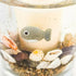 Friendly Shark Botanical Candle