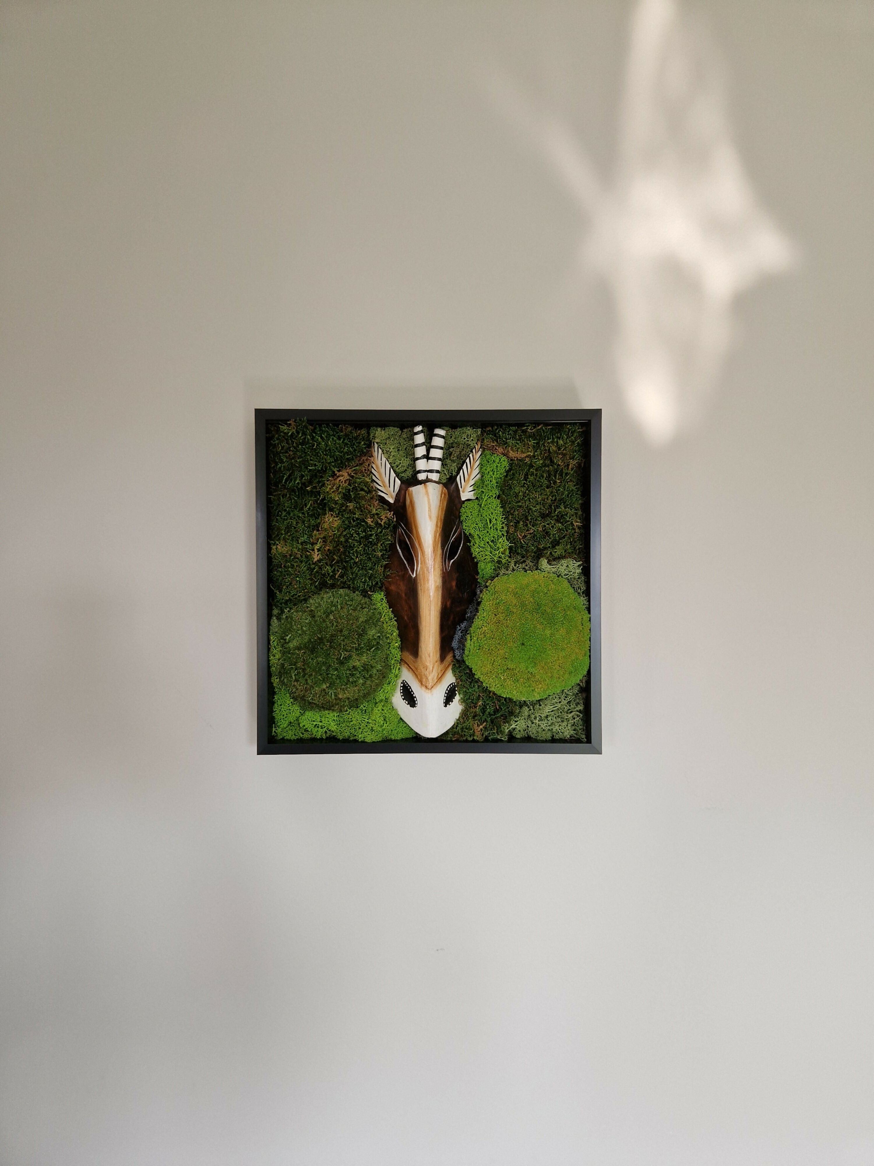 African Gazelle