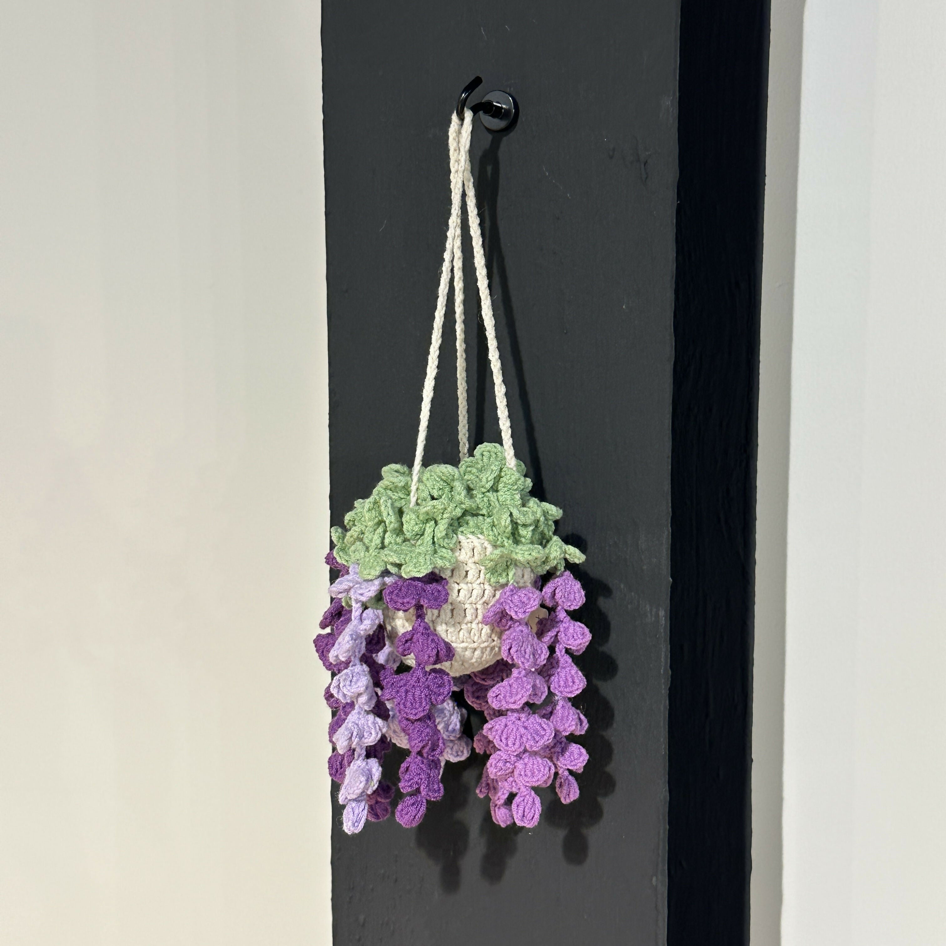Hanging Crochet Plants