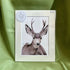 Mule Deer Wall Art | Luxury Velvet Paper Print | Woodland Animal Decor