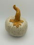 Speckled Pumpkin