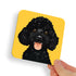 Poodle Black Dog Coaster