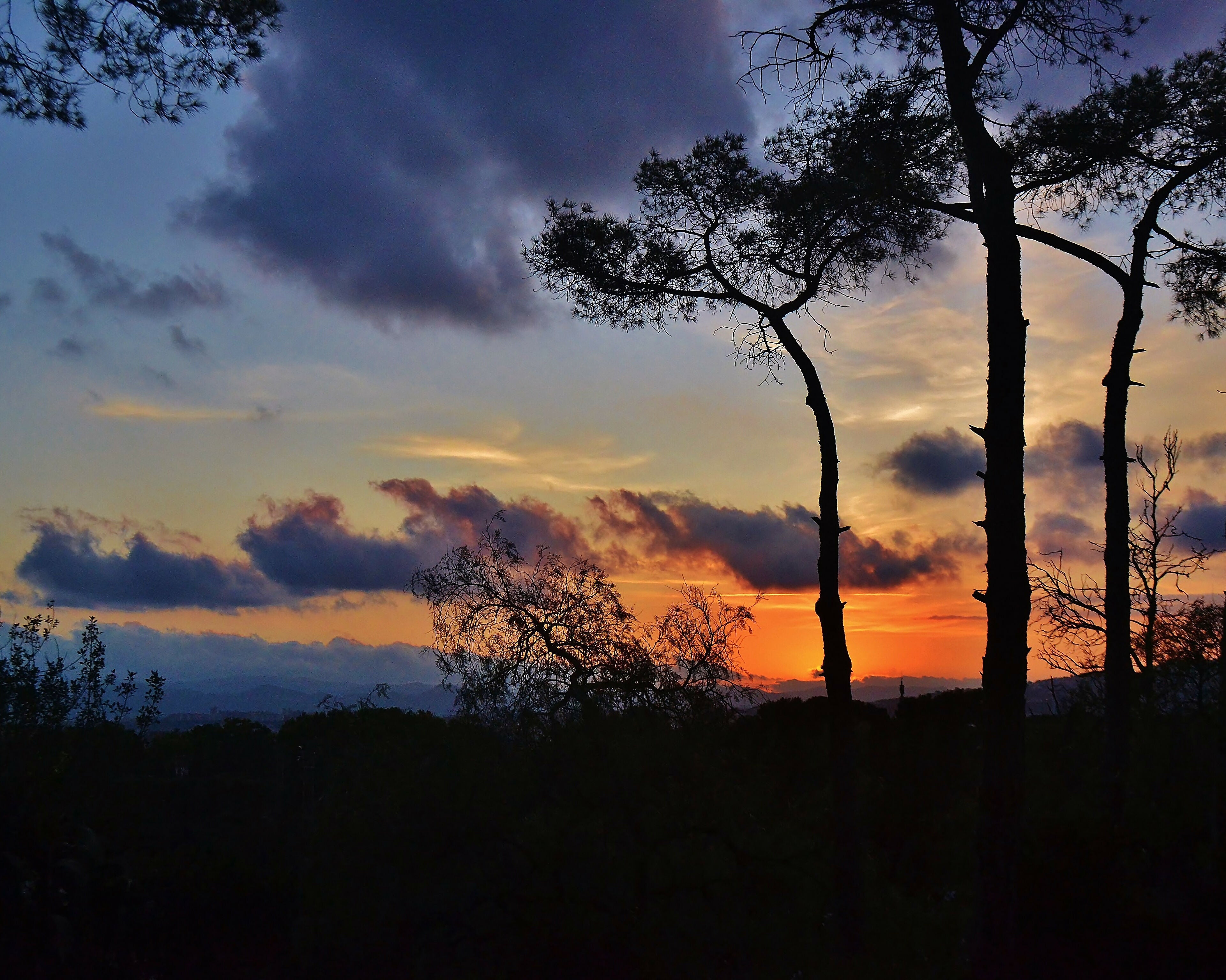 Evening Veil – 10X8 Print