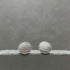 Leaf Print Stud Earrings - Sterling Silver