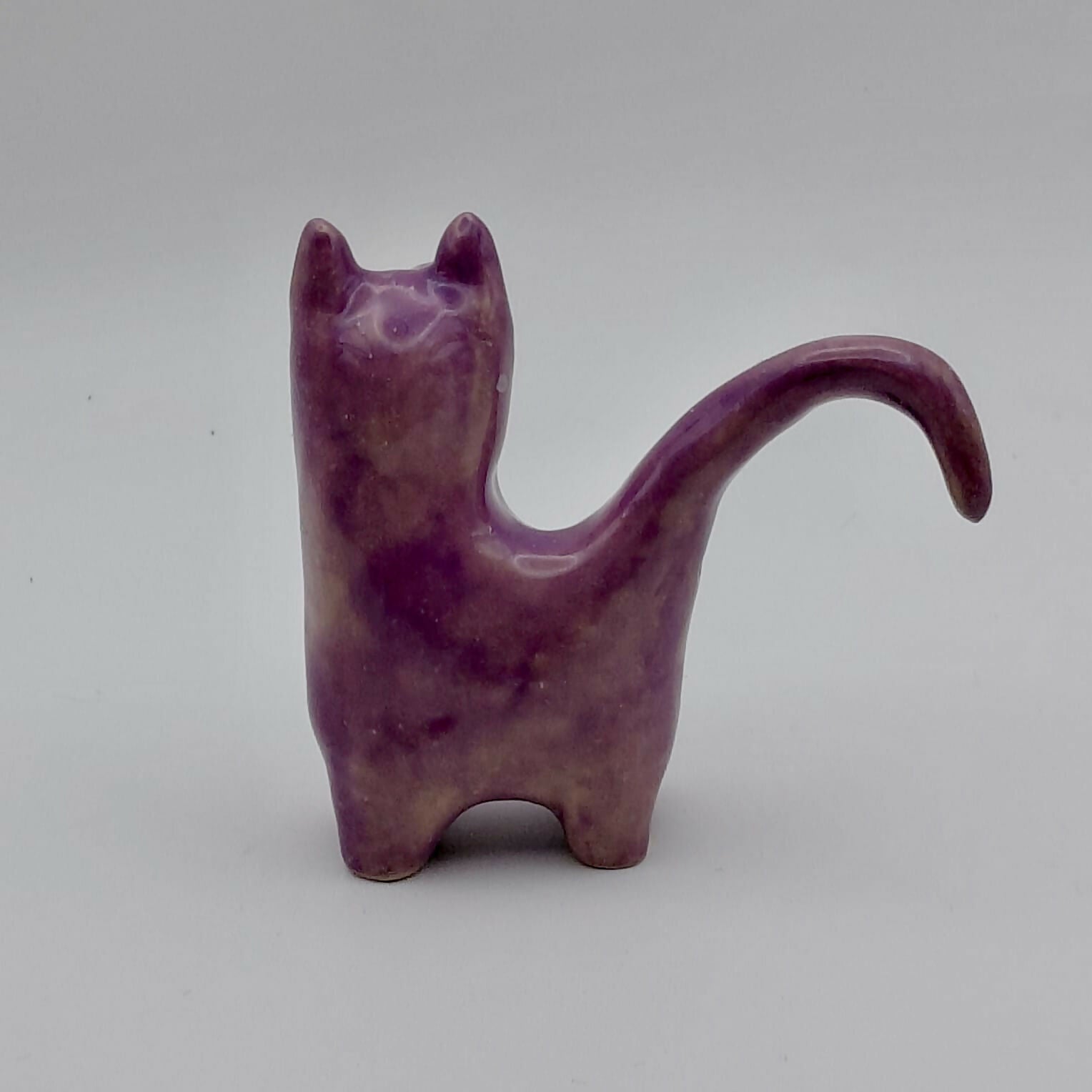 Lilac Curious Cat