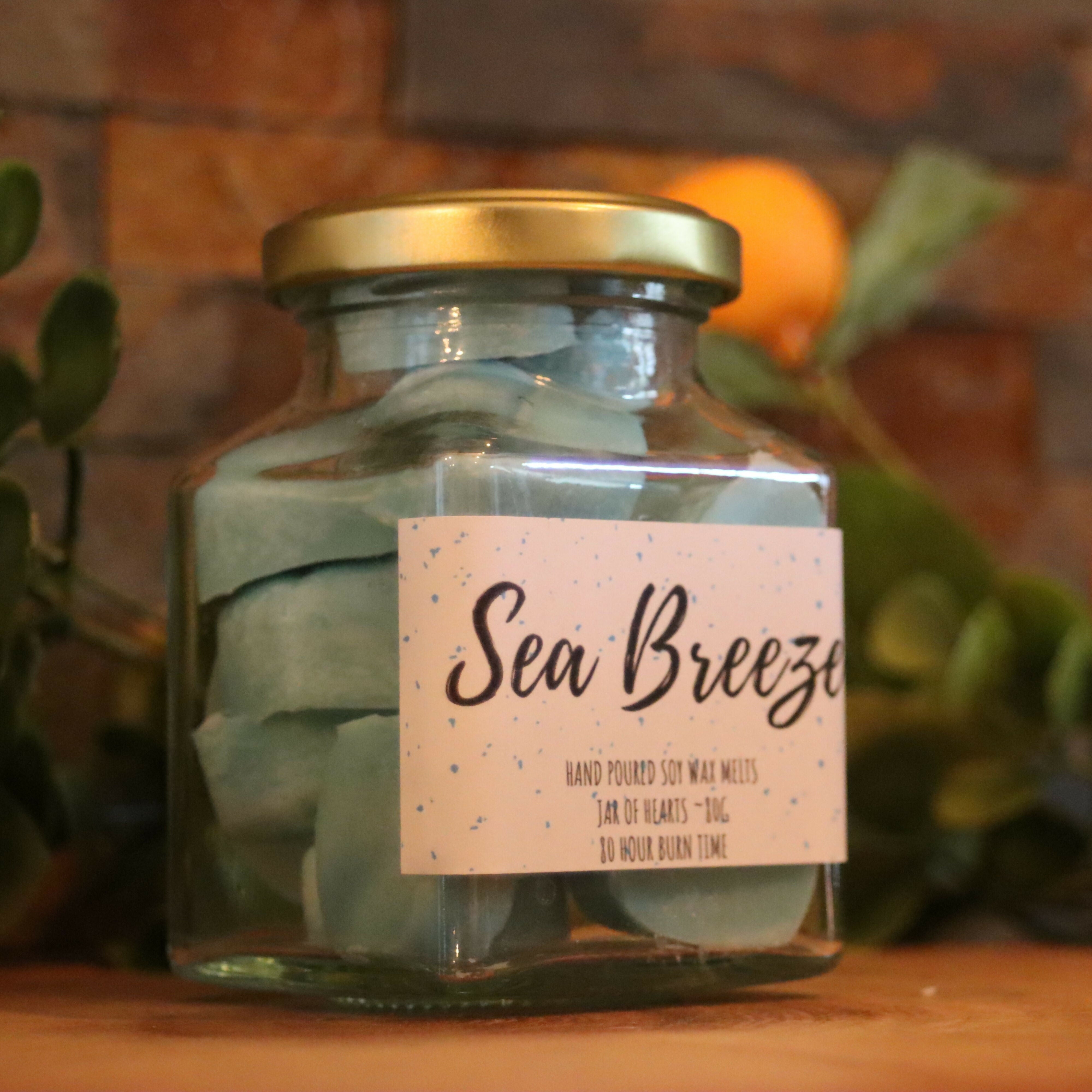 Hand Poured Soy Wax Melts - Sea Breeze