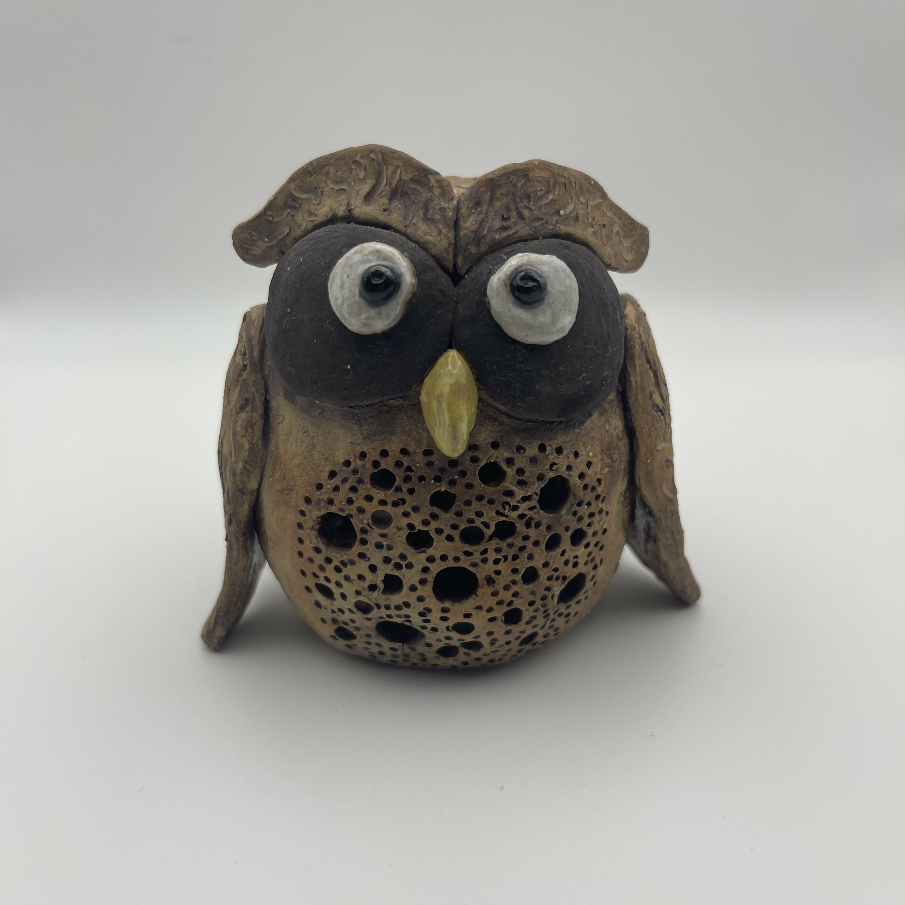 Professor Hoot