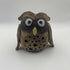 Professor Hoot