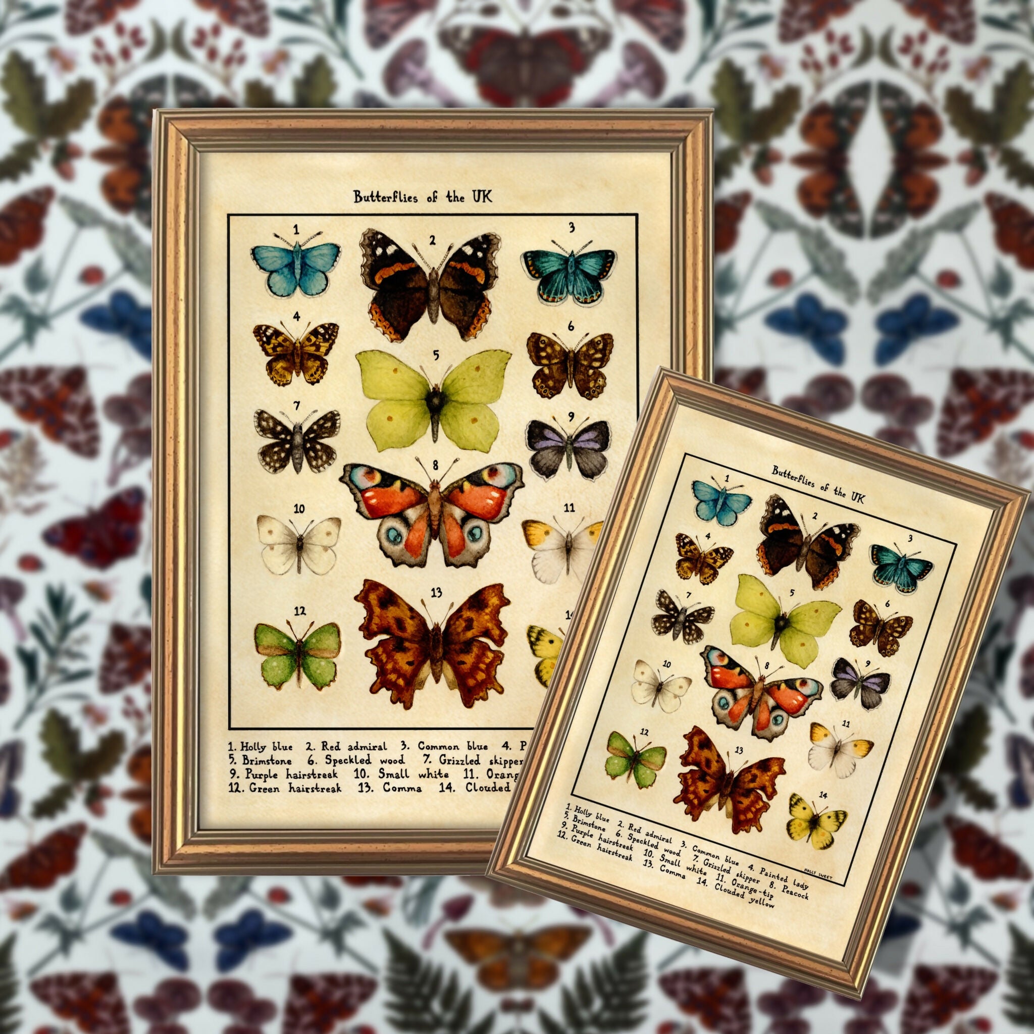 Butterflies Of The UK A4 Print