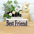 Best Friend Cream Button Art Gift